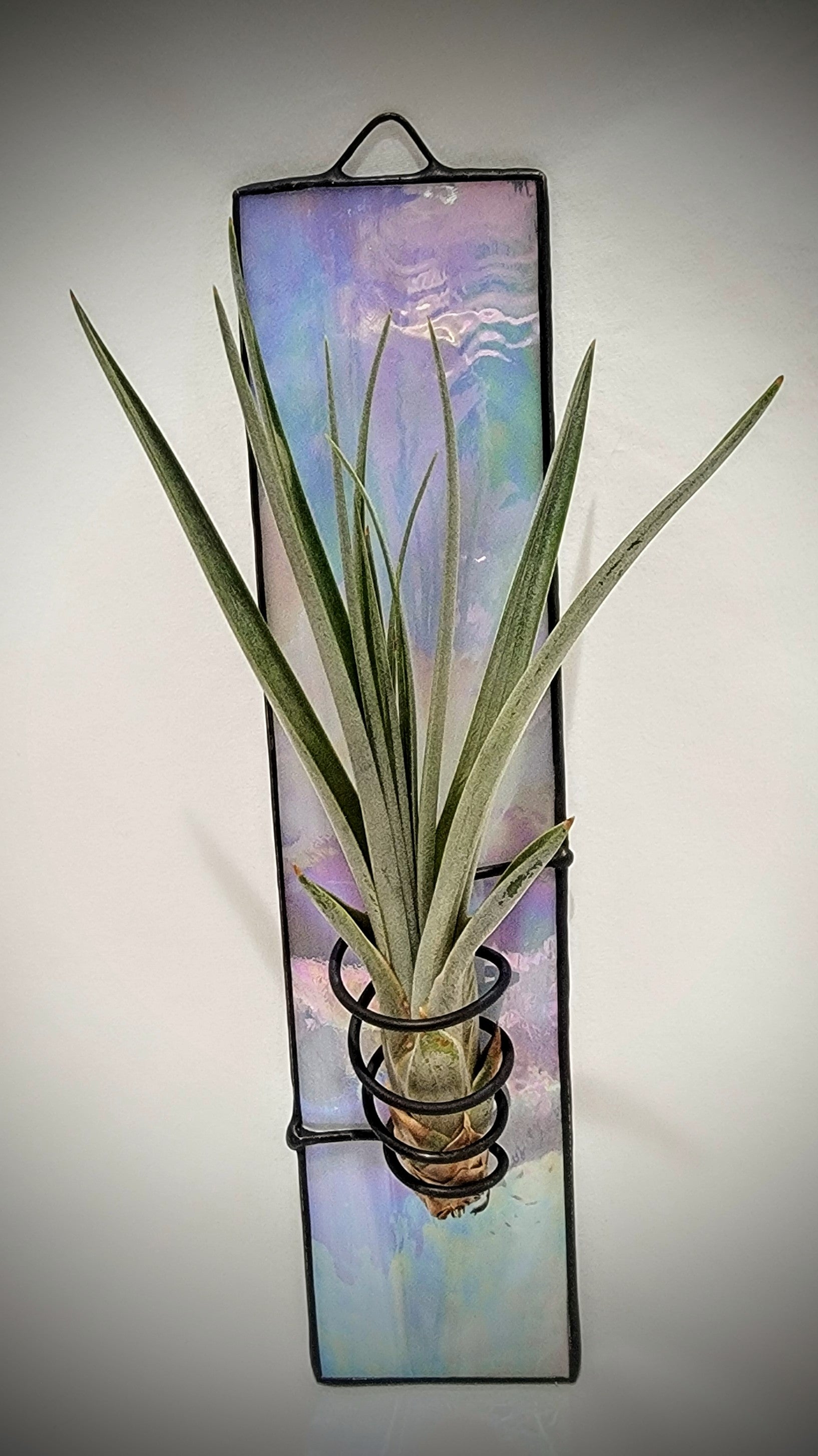 glass air plant containers Stained-Glass Air Plant Hanger- Single – Stained Glass Gardens & More