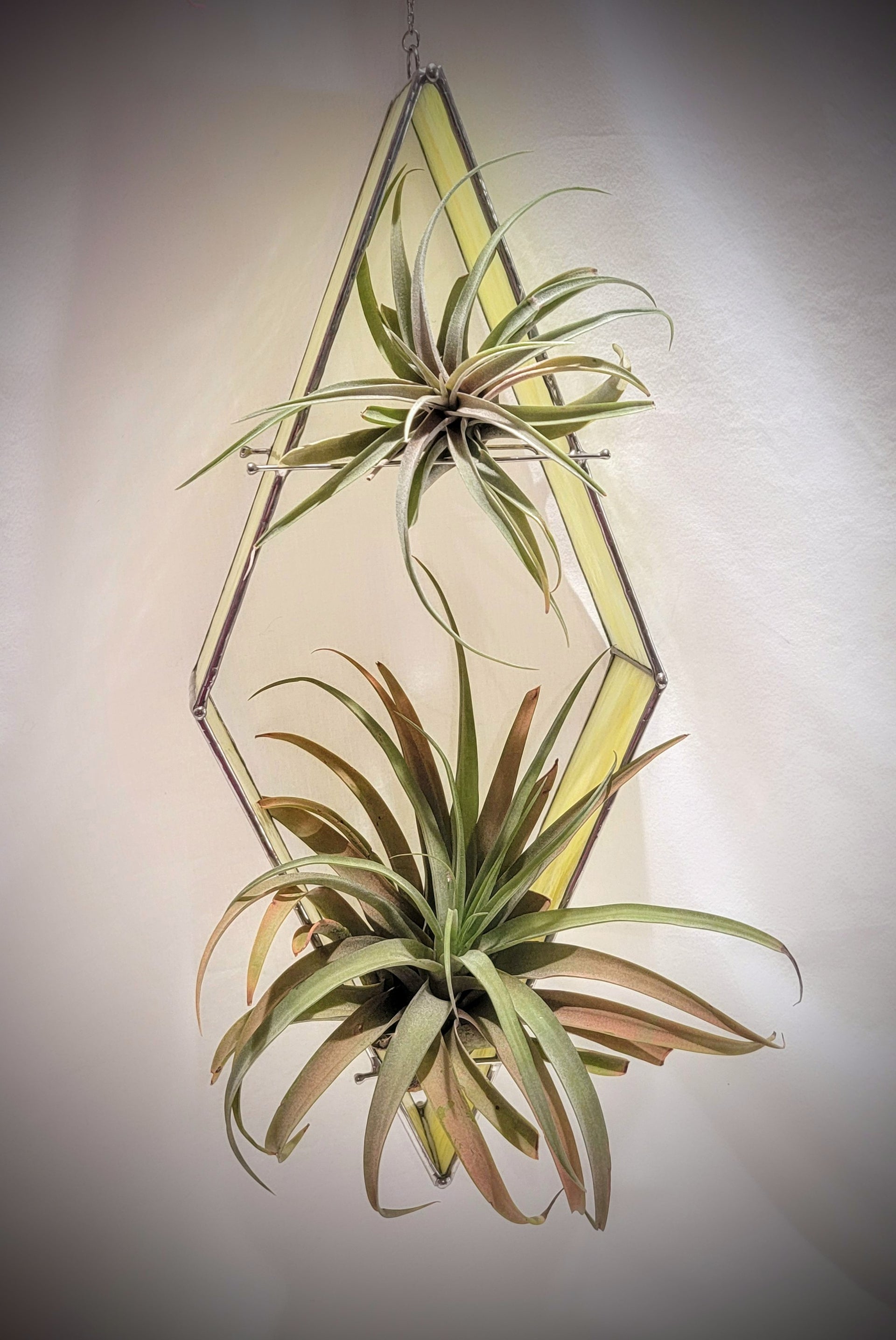 Stained-Glass Air Plant Hanger- Diamond – Stained Glass Gardens & More