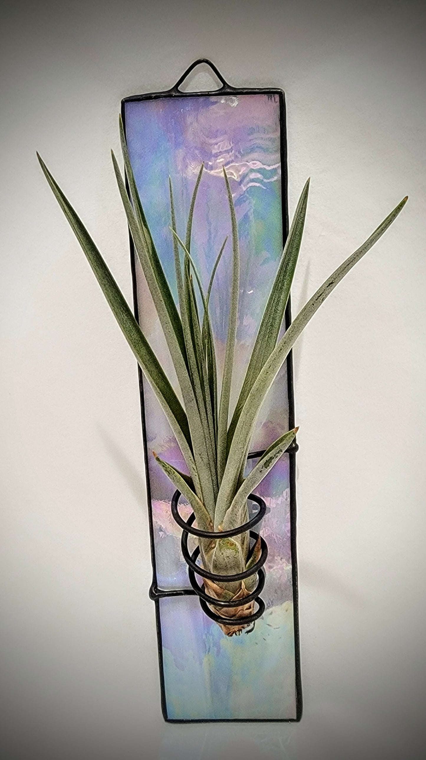 Stained-Glass Air Plant Hanger- Single