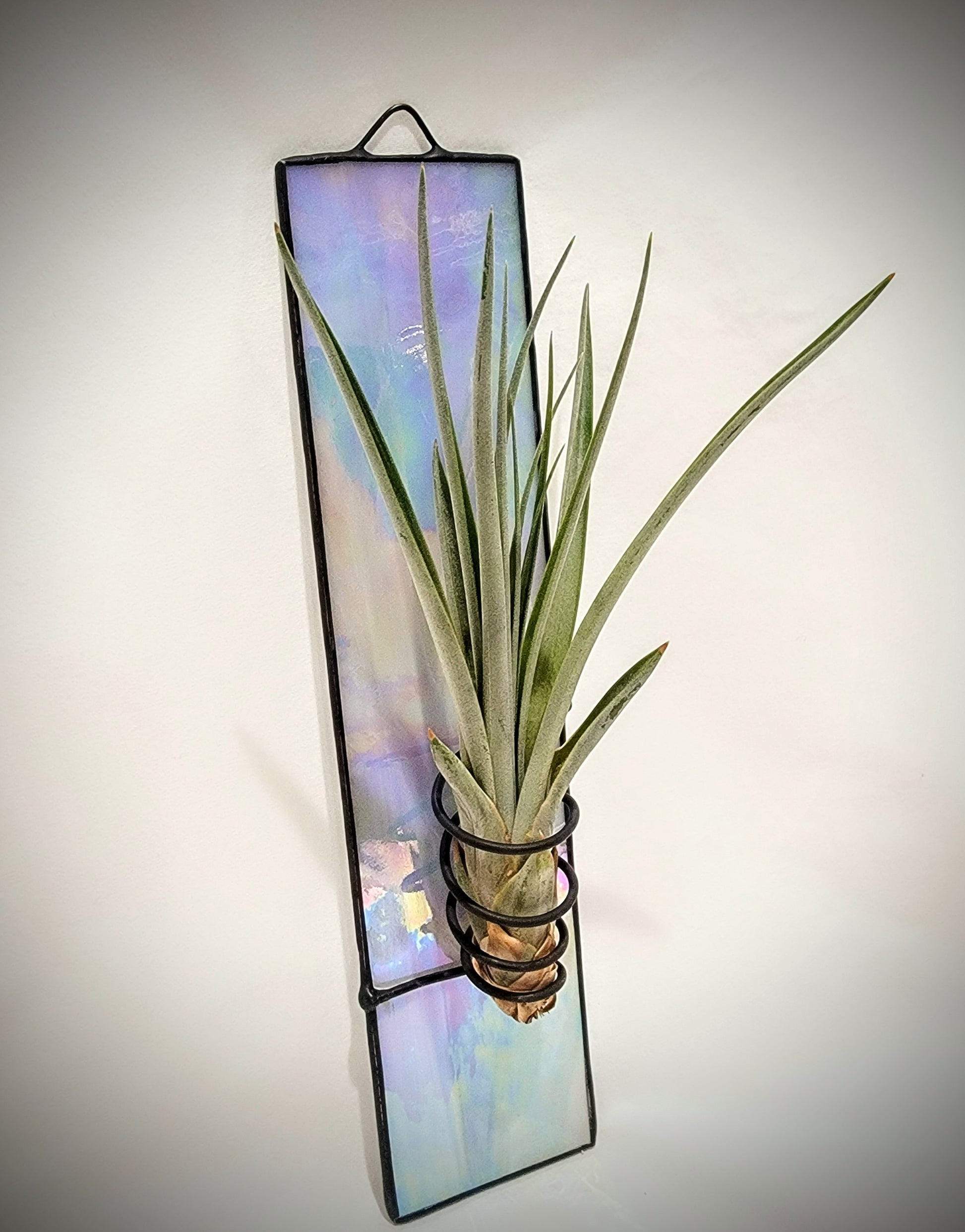 window casing plant hanger Stained-Glass Air Plant Hanger- Single – Stained Glass Gardens & More