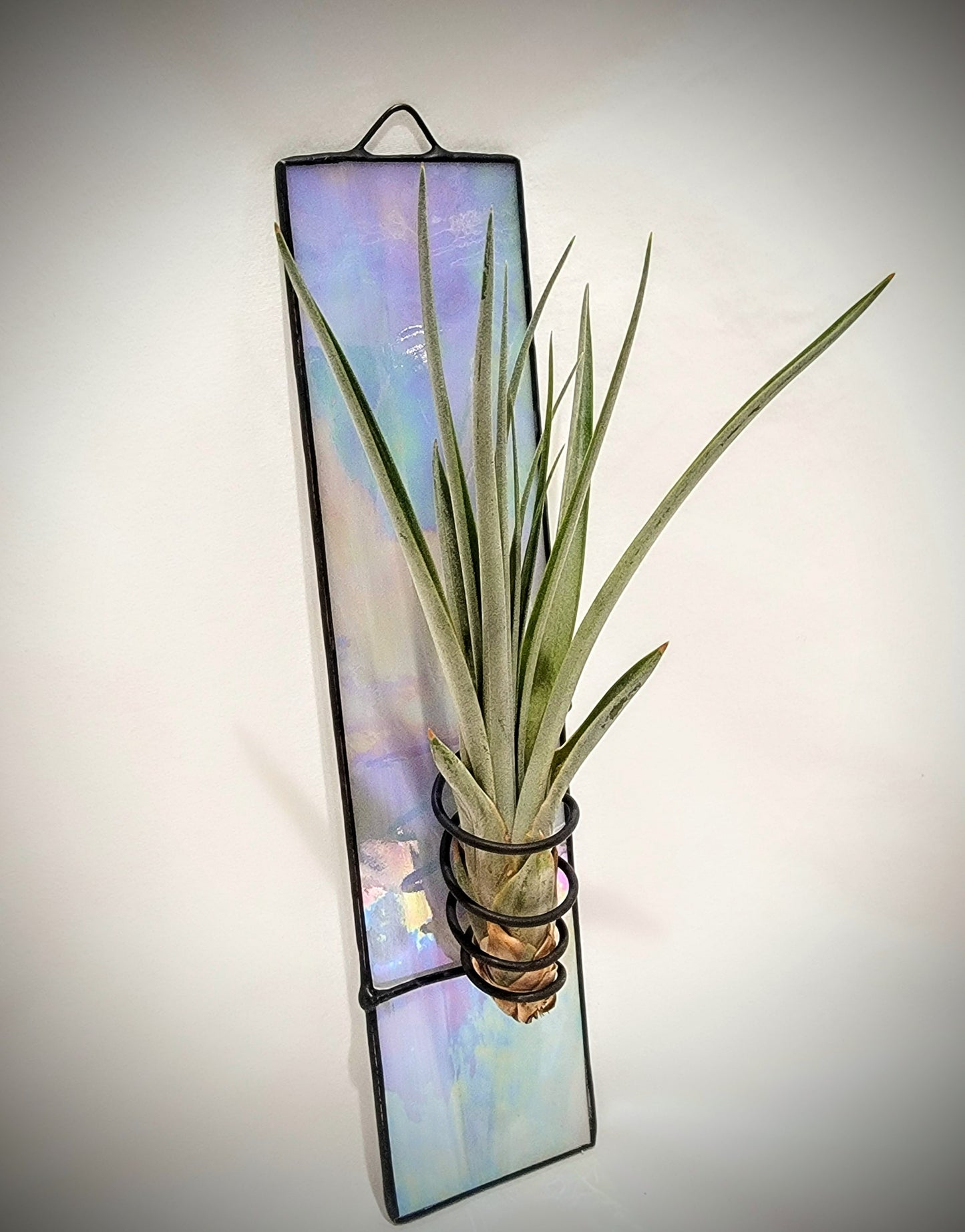 Stained-Glass Air Plant Hanger- Single