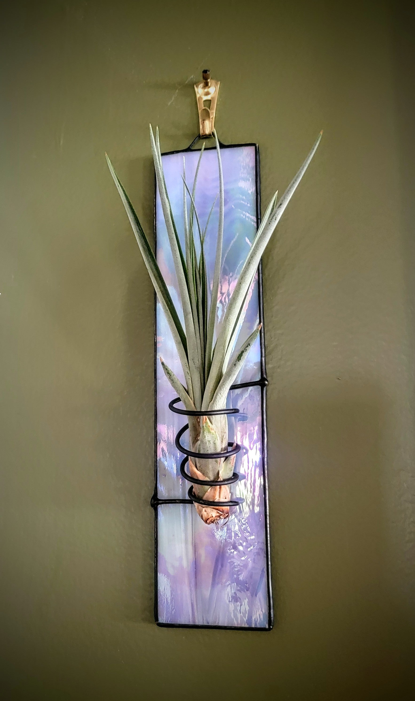 air plant stained glass Stained-Glass Air Plant Hanger- Single – Stained Glass Gardens & More