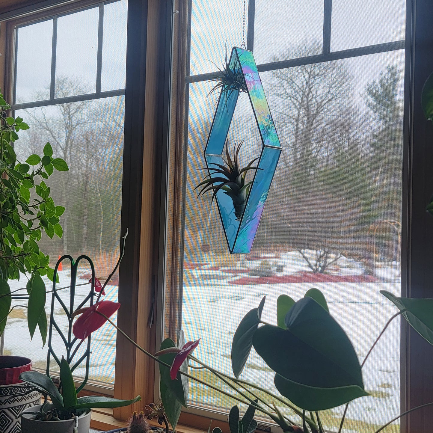 Stained-Glass Air Plant Hanger- Diamond