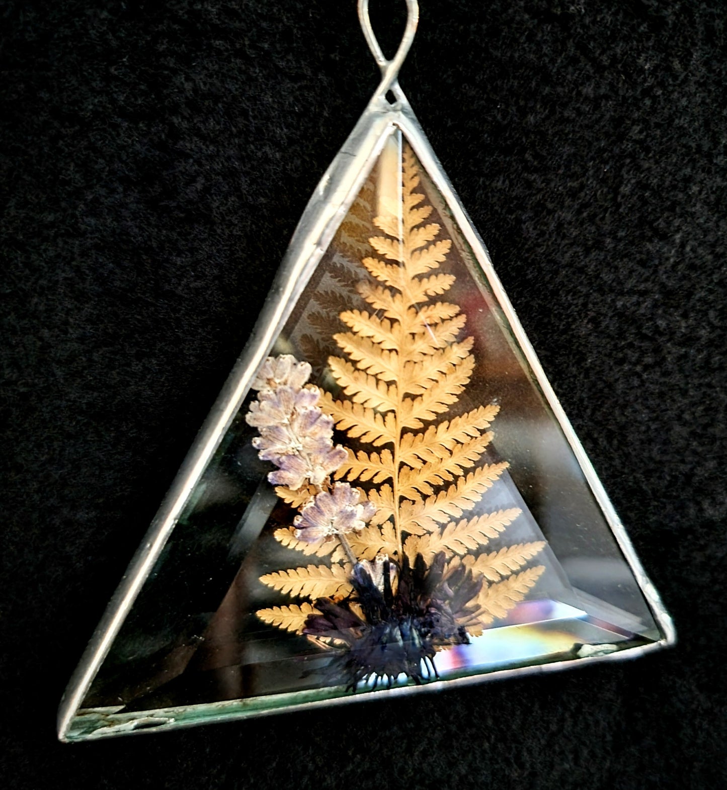 Dried Flowers Pressed Between Two Triangle Bevels