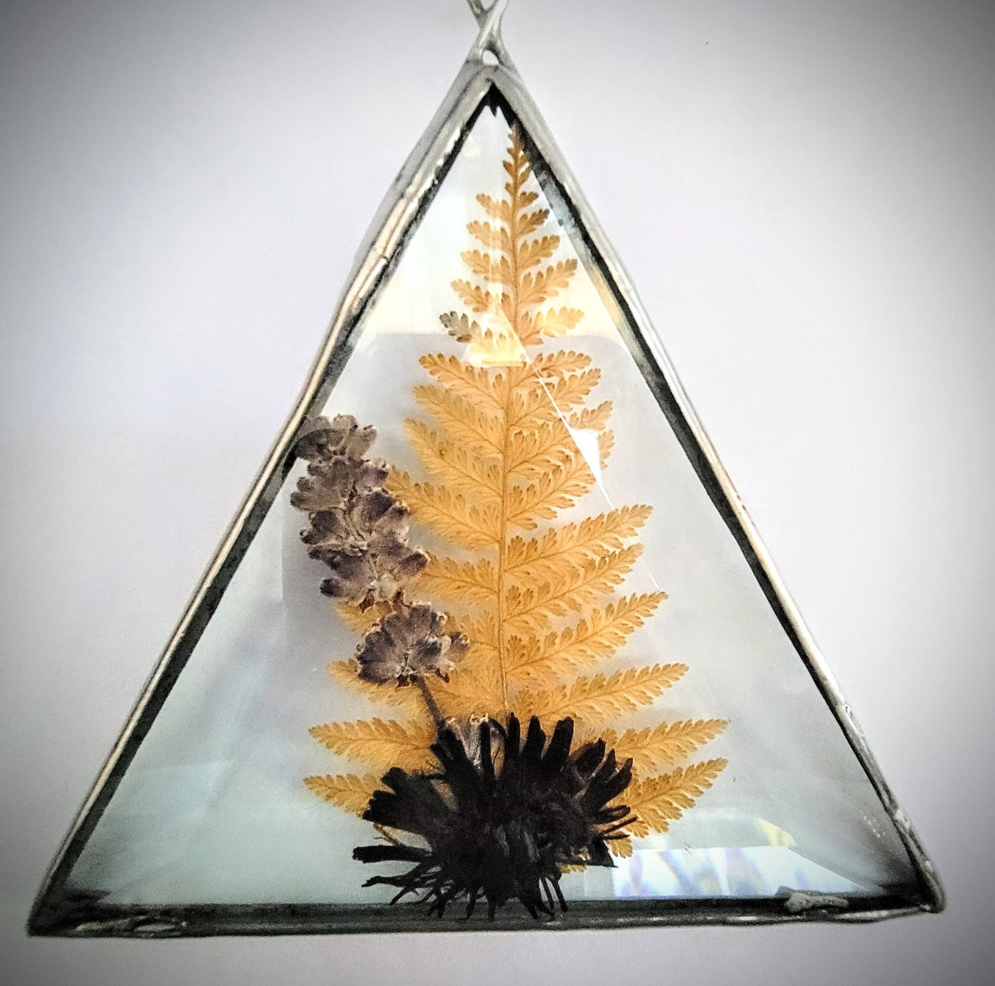 Dried Flowers Pressed Between Two Triangle Bevels