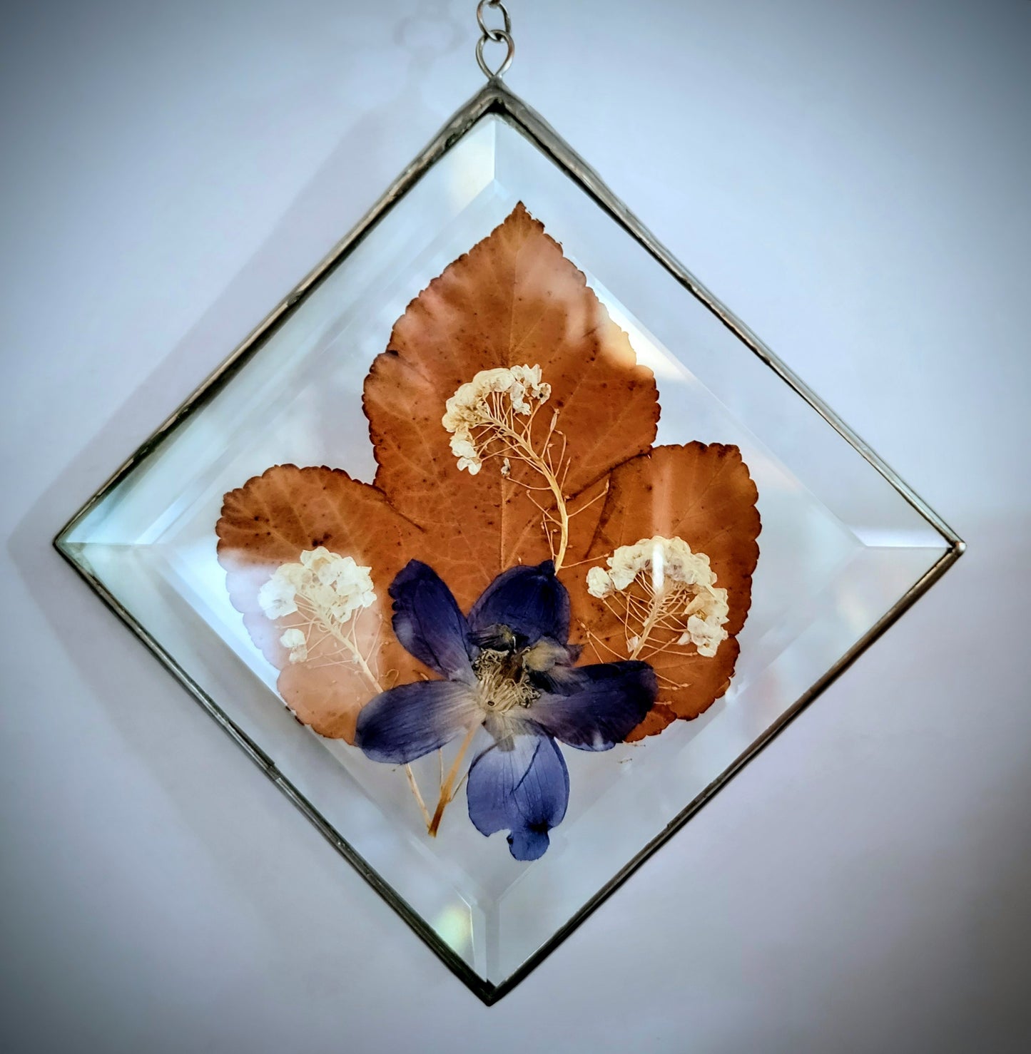 Dried Flowers Pressed Between Two Diamond Bevels