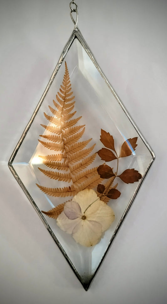 Dried Flowers Pressed between two Diamond Bevels