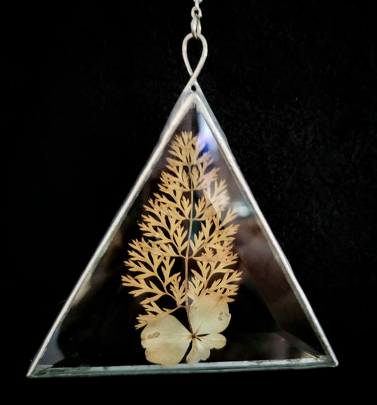 Dried Flowers Pressed Between Two Triangle Bevels