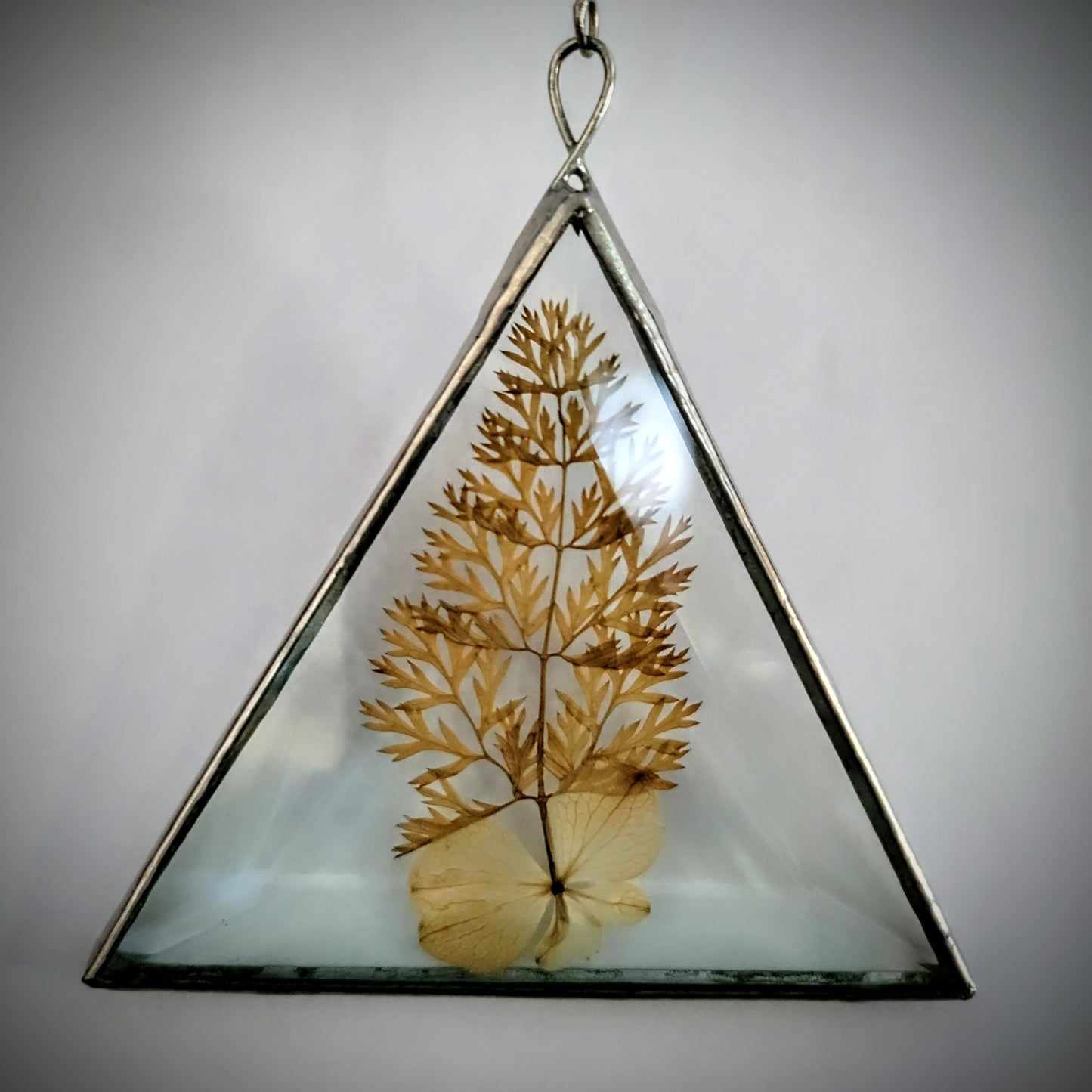 Dried Flowers Pressed Between Two Triangle Bevels