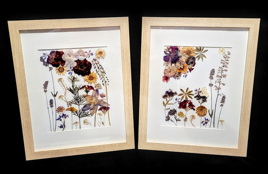 Pressed Dried Flowers within a Picture Frame