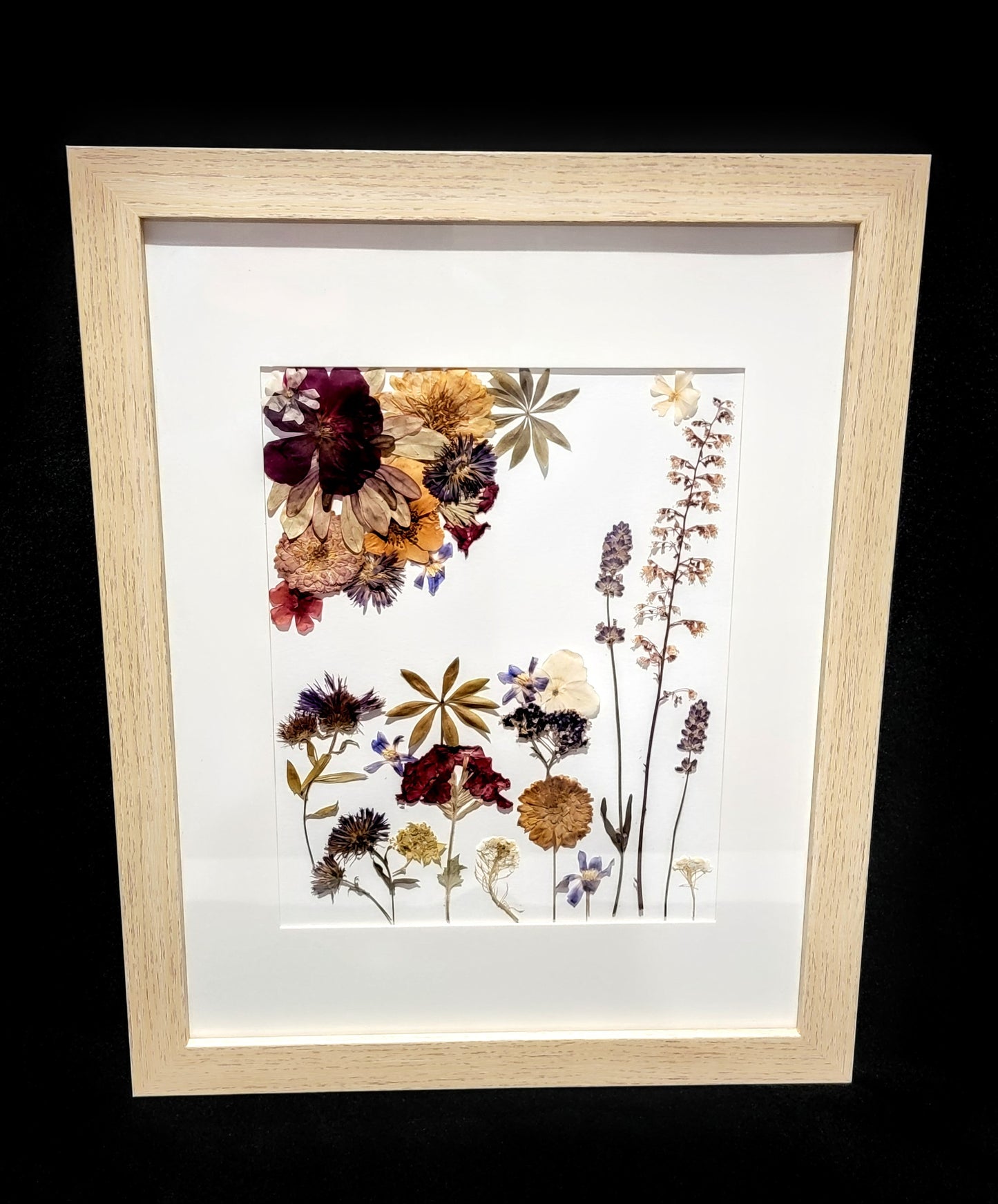 Pressed Dried Flowers within a Picture Frame