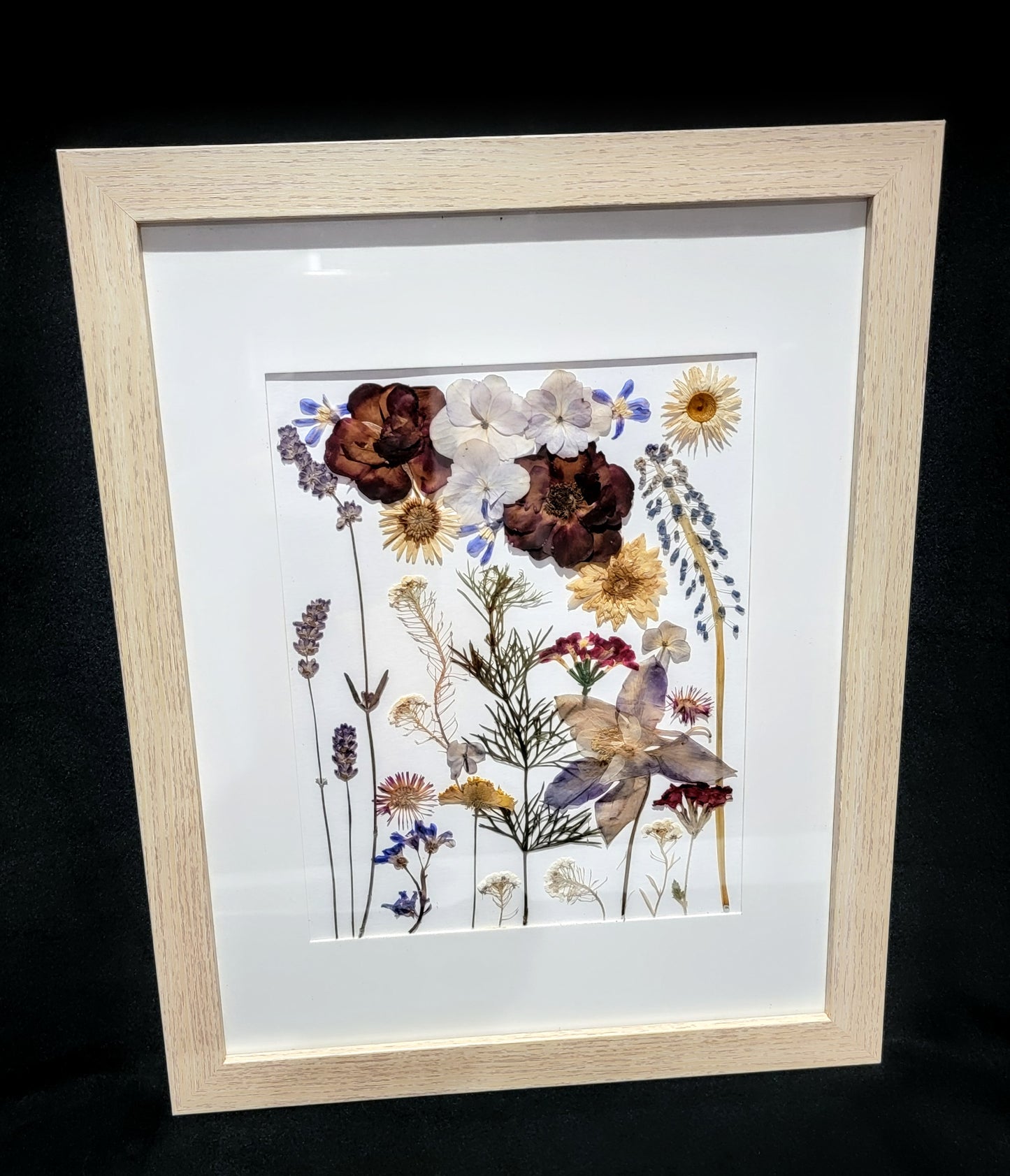 Pressed Dried Flowers within a Picture Frame