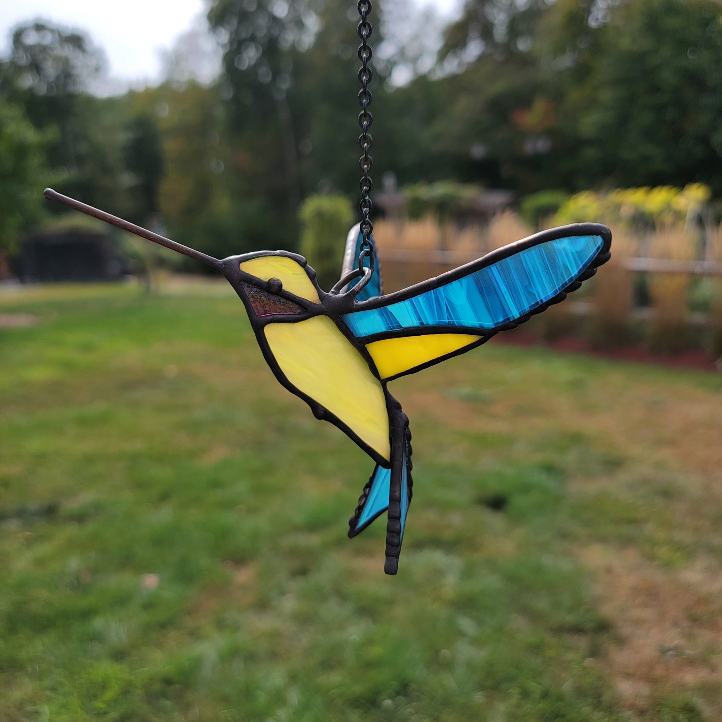 3D Hummingbird