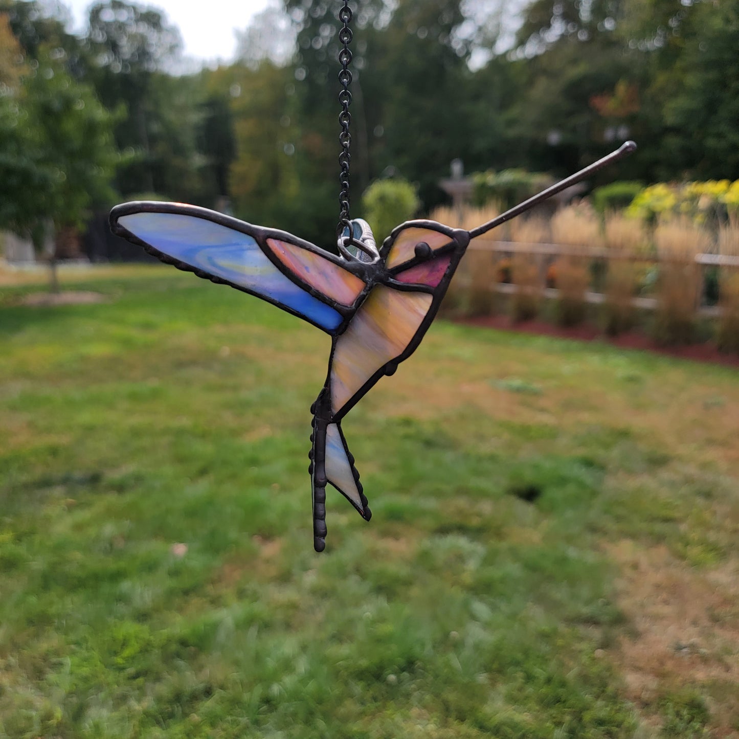 3D Hummingbird