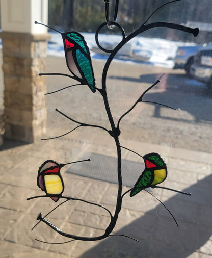 Three Purched Hummingbirds