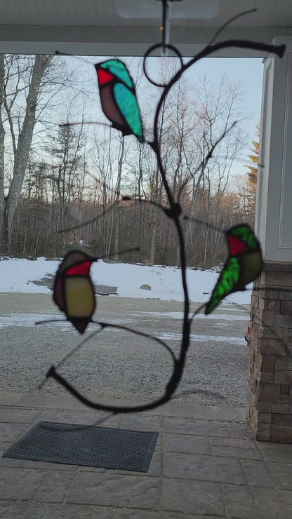 Three Purched Hummingbirds