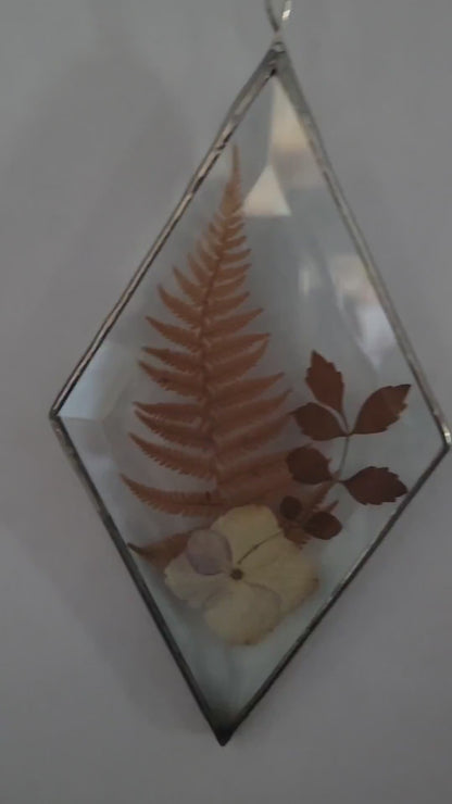 Dried Flowers Pressed between two Diamond Bevels
