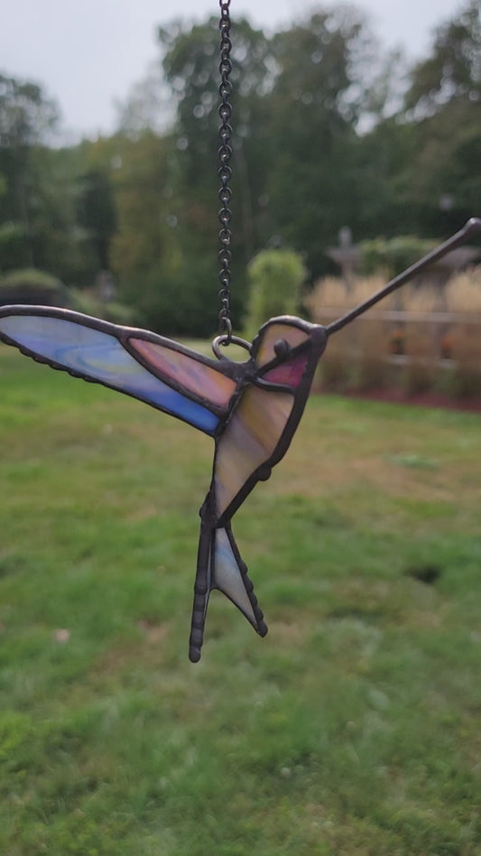 3D Hummingbird