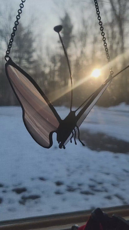 3D Stained-Glass Butterfly