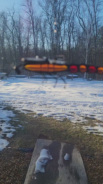 3D Stained-Glass Dragonfly