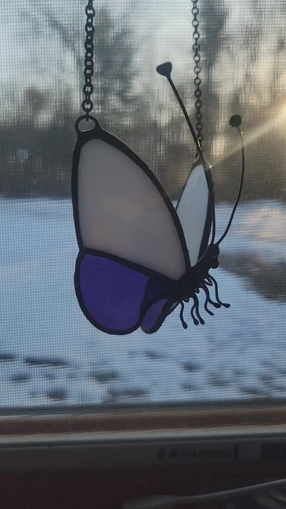 3D Stained-Glass Butterfly