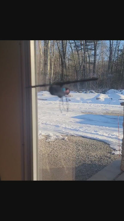 3D Stained-Glass Dragonfly