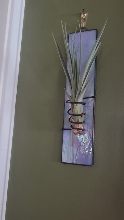 Stained-Glass Air Plant Hanger- Single
