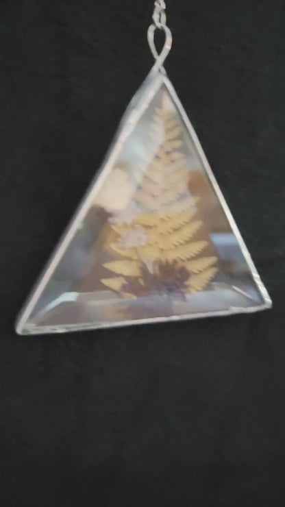 Dried Flowers Pressed Between Two Triangle Bevels